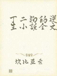 丁二狗的逆袭人生小说全文阅读