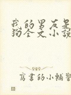 我的男友是小奶狗全文小说免费阅读全文