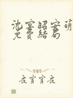沈宴昭安萌全文免费结局封面