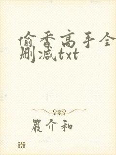 偷香高手全文无删减txt封面
