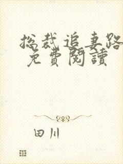 总裁追妻路漫漫 免费阅读