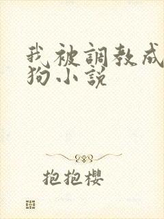 我被调教成小母狗小说