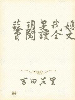 苏玥是我媳妇免费阅读全文无