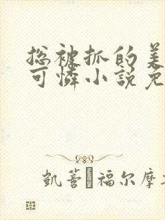 总被抓的美貌小可怜小说免费阅读