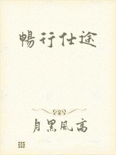 畅行仕途封面