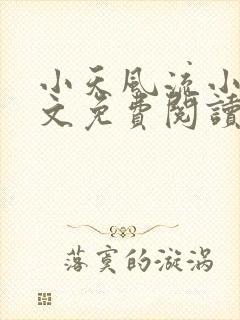 小天风流小说全文免费阅读无弹窗封面