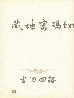 藏地密码txt封面