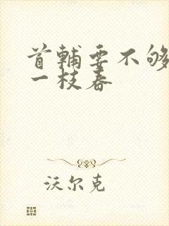 首辅要不够po一枝春