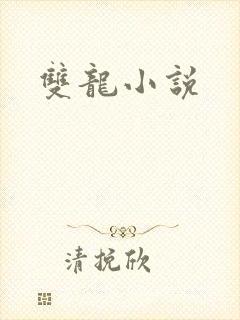 双龙小说
