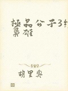 极品公子3续世枭雄