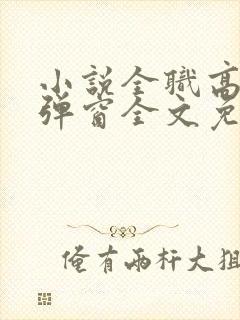 小说全职高手无弹窗全文免费阅读
