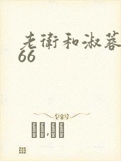 老卫和淑蓉全集66