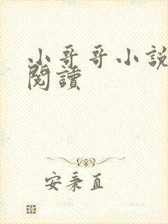 小哥哥小说全文阅读