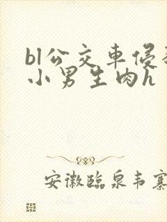 bl公交车侵犯小男生肉h