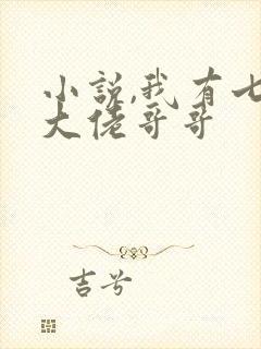 小说,我有七个大佬哥哥