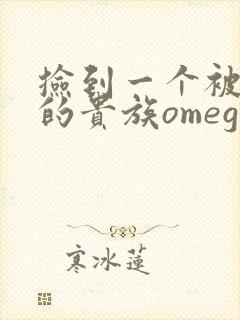 捡到一个被抹布的贵族omega