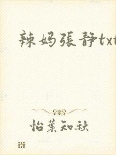 辣妈张静txt