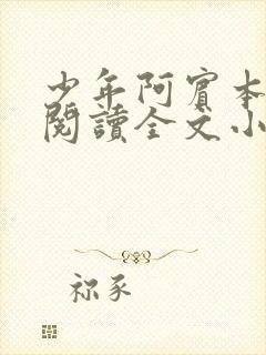 少年阿宾本全文阅读全文小说