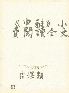 《申雅》小说免费阅读全文