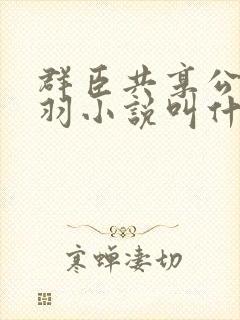 群臣共享公主银羽小说叫什么封面