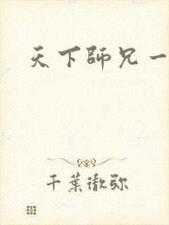 天下师兄一般黑封面