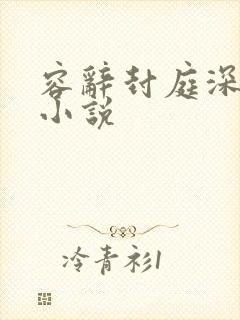 容辞封庭深原著小说封面