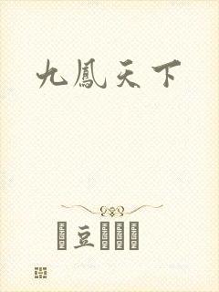 九凤天下封面