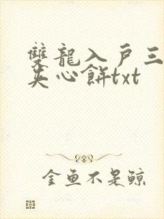 双龙入户三人行夹心饼txt