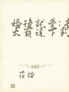 婚后试爱:老公太霸道下载全本txt