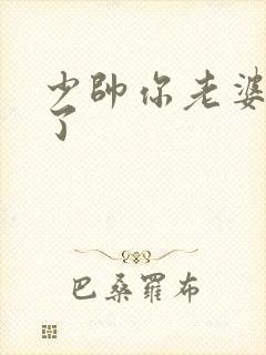 少帅你老婆又跑了封面