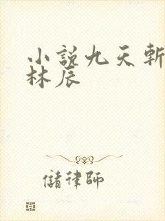 小说九天斩神诀林辰
