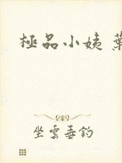 极品小姨 叶凡
