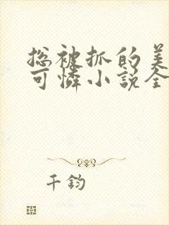 总被抓的美貌小可怜小说全文阅读封面