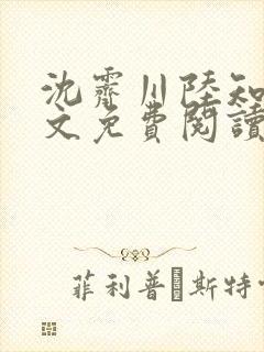 沈霁川陆知意全文免费阅读