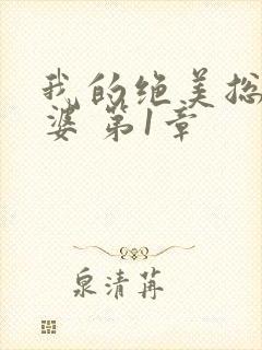 我的绝美总裁老婆 第1章