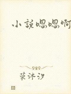 小说嗯嗯啊啊
