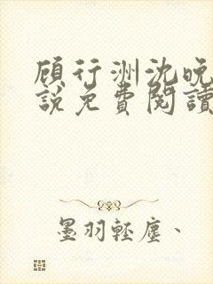 顾行洲沈晚宁小说免费阅读最新章节封面