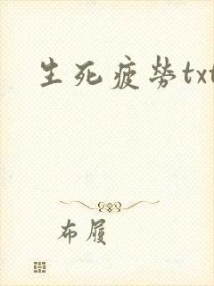 生死疲劳txt封面