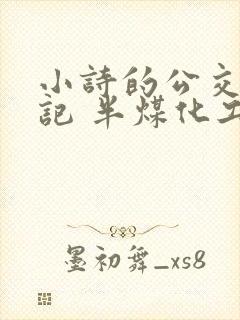 小诗的公交车日记 半煤化工封面