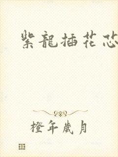 紫龙插花芯封面