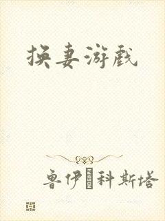 换妻游戏封面