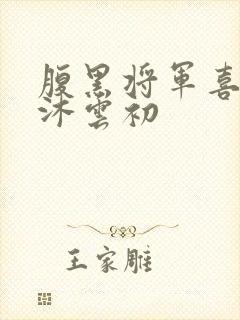 腹黑将军喜当爹沐云初