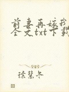 前妻再嫁我一次全文txt下载封面