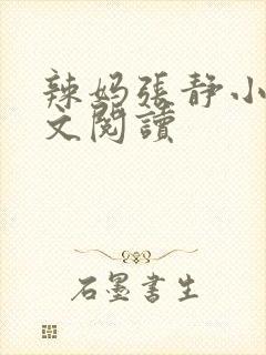 辣妈张静小说全文阅读