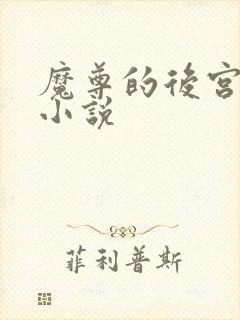 魔尊的后宫四爱小说封面