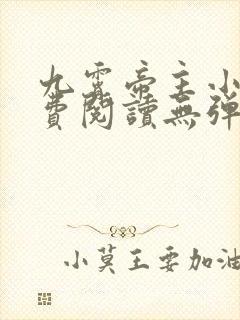 九霄帝主小说免费阅读无弹窗封面