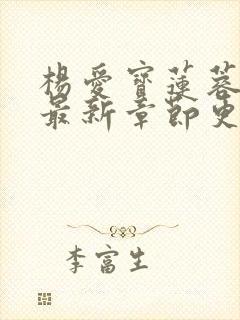杨爱宝莲蓉小说最新章节更新内容