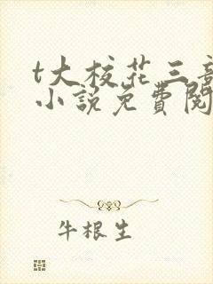 t大校花三部曲小说免费阅读全文