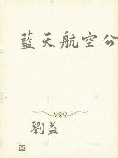 蓝天航空公司封面