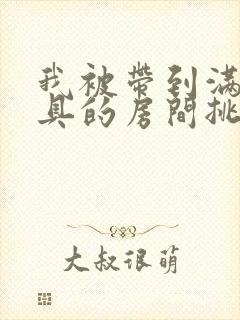 我被带到满是玩具的房间挑调作文